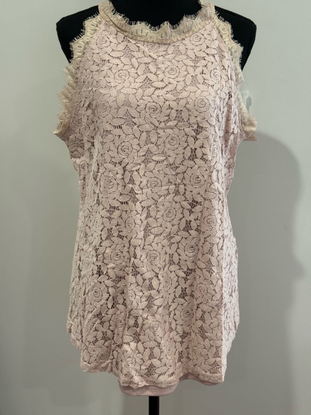 Berryou XL Lace Halter Tank Top in Blush 574